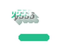 y555 logo